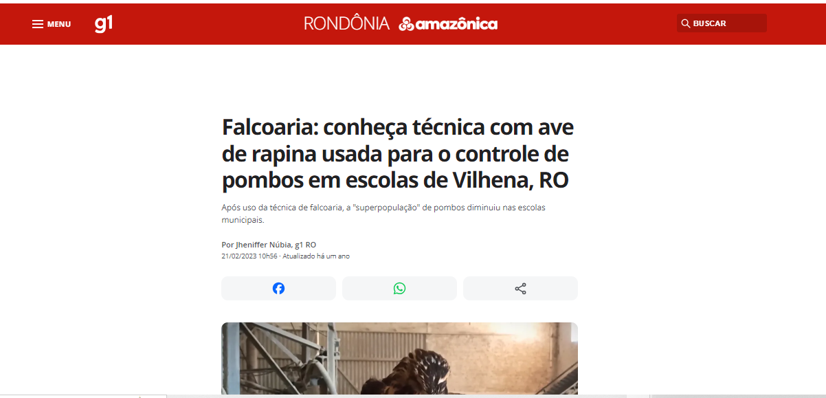 .Falcoaria conheça a técnica com ave de rapina - G1